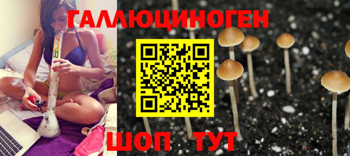 Фролово  Галлюциногенные грибы Magic Shrooms  Вход с VPN 